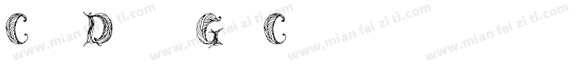 Cf DinGrCondensed B字体转换